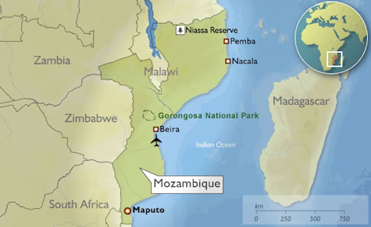 Gorongosa National Park in Mozambique