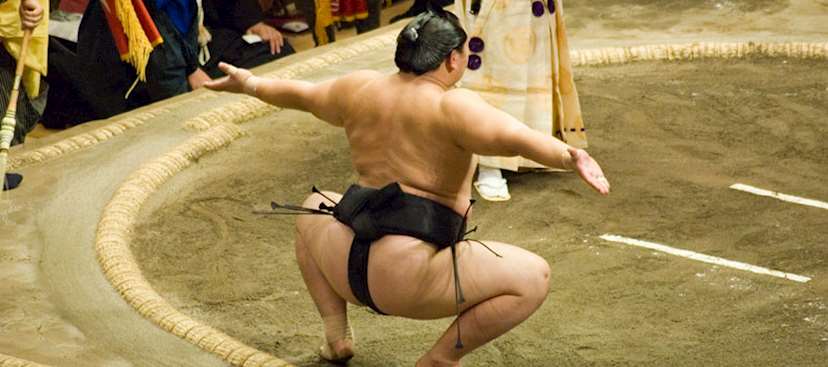 Sumo Wrestling Audley Travel