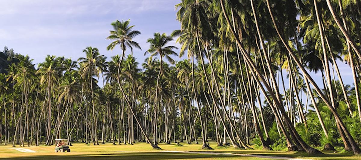 Golf Course, North Island