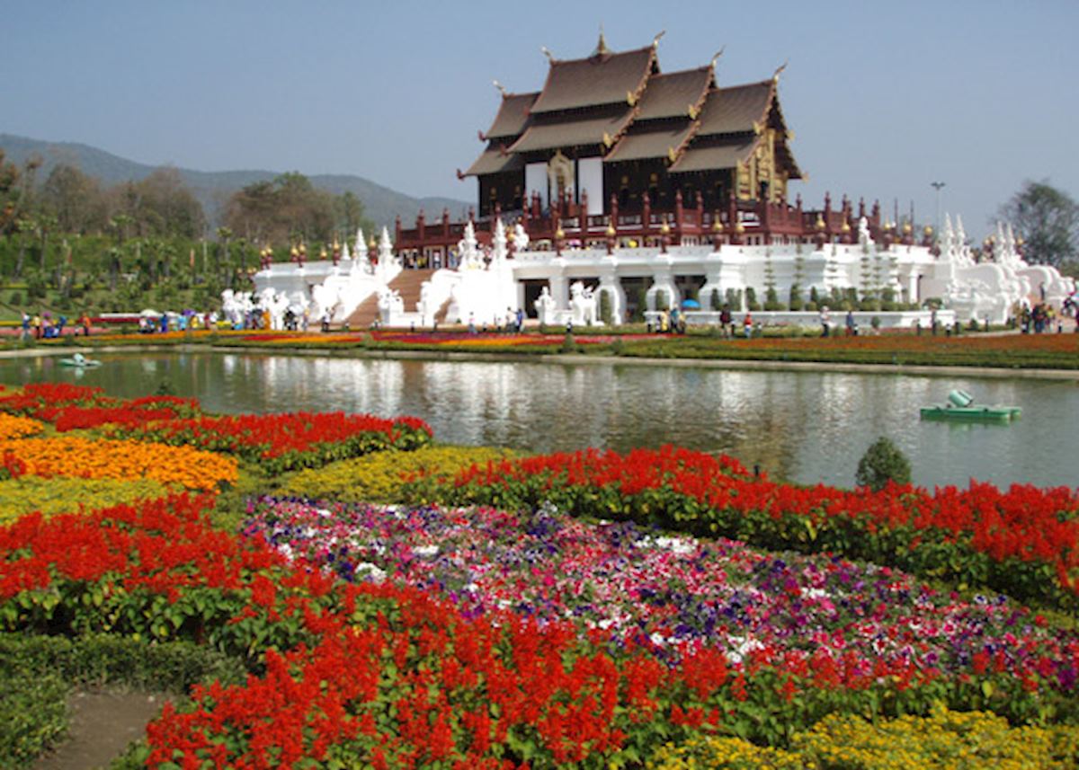The Chiang Mai Flower Festival, Thailand. Image: colmsurf/flickr