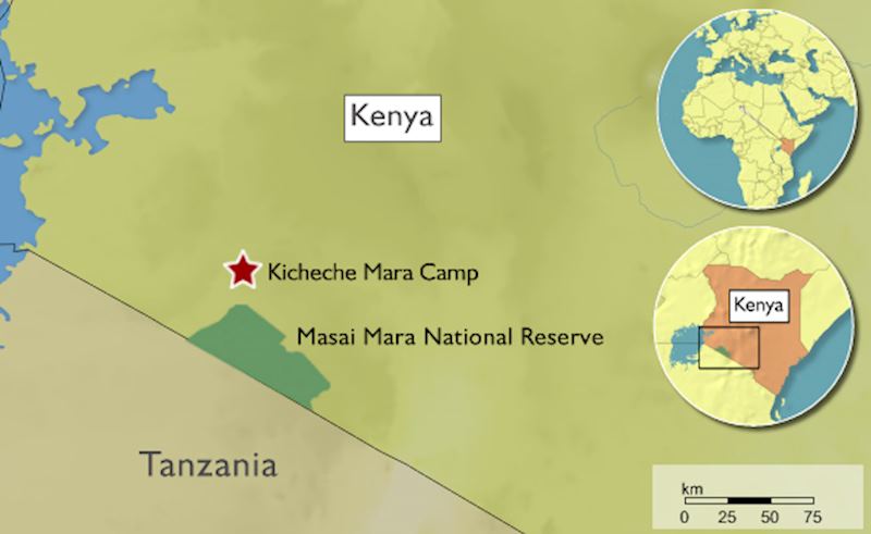 Kicheche Camp in the Masai Mara