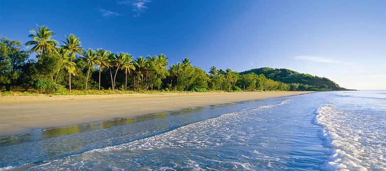 Follow in the footsteps of Sir David Attenborough in Queensland