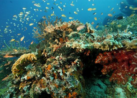 Moyo Island, Indonesia Moyo Island, Indonesia