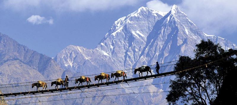 The mighty Himalaya