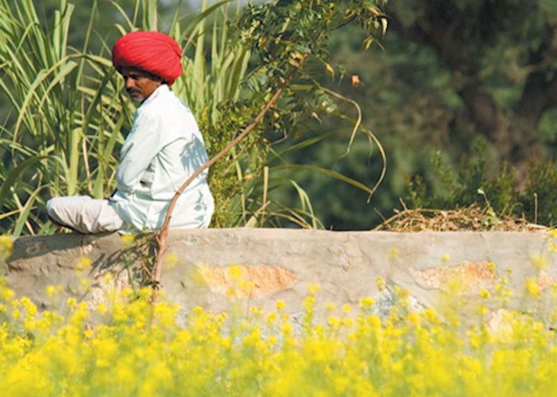 Rajasthani gentleman near to the camp