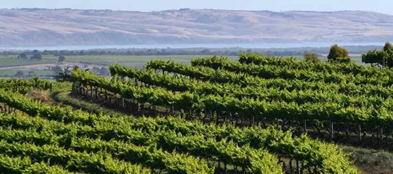 Perfect Trip Tasmania And South Australia Audley Travel