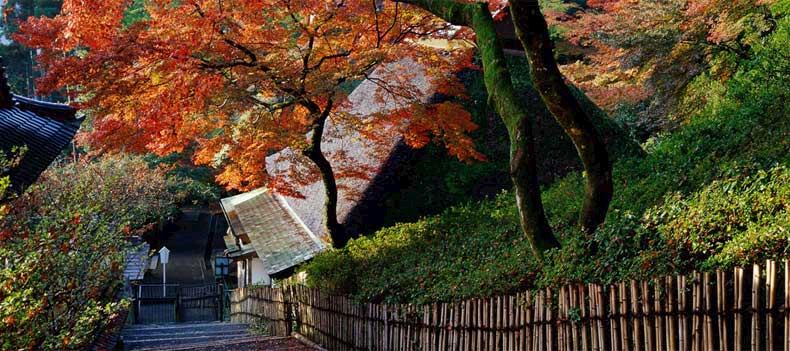 Kyoto in the Autumn