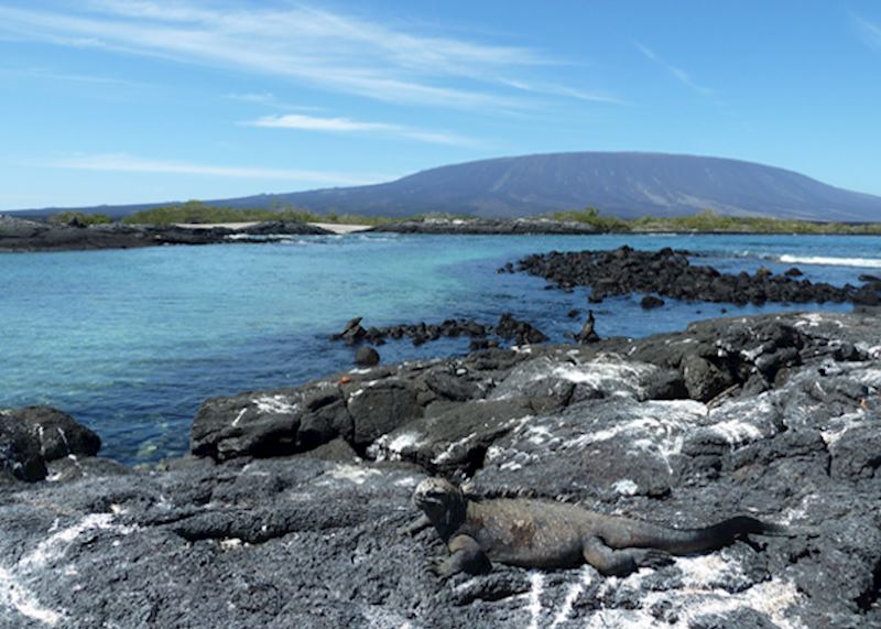 Galapagos Islands