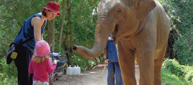 Nat, our Southeast Asia Manager, on a family trip to Thailand