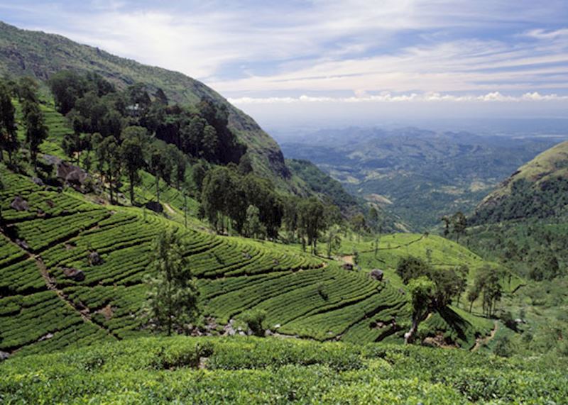 Hatton, Sri Lanka