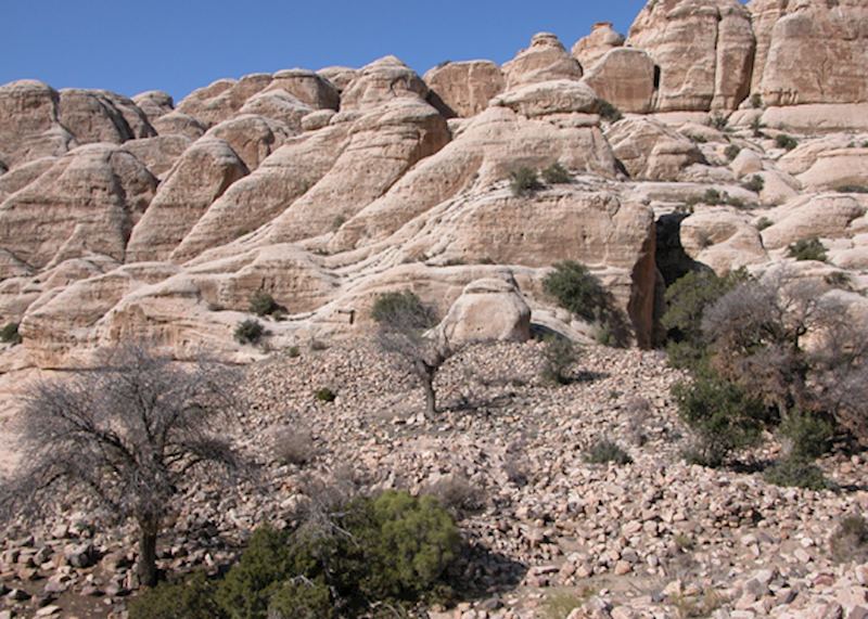 Dana Nature Reserve, Jordan