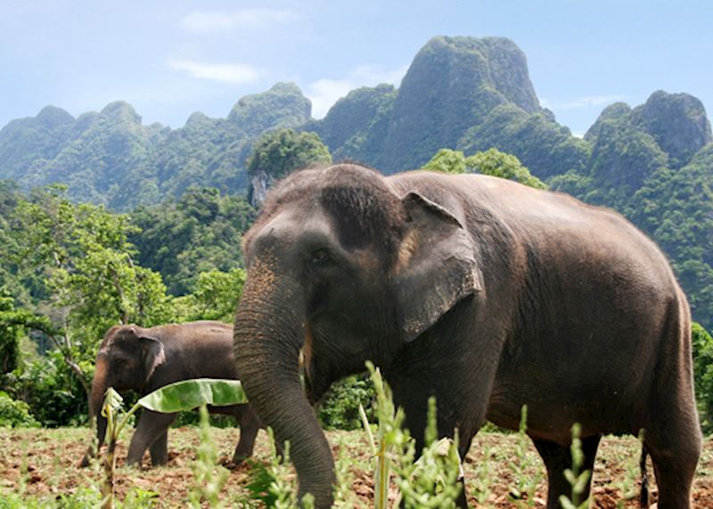 Khao Sok National Park