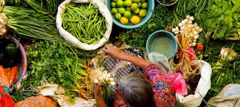 Fresh, locally sourced ingredients and dishes are a great way to experience a culture.