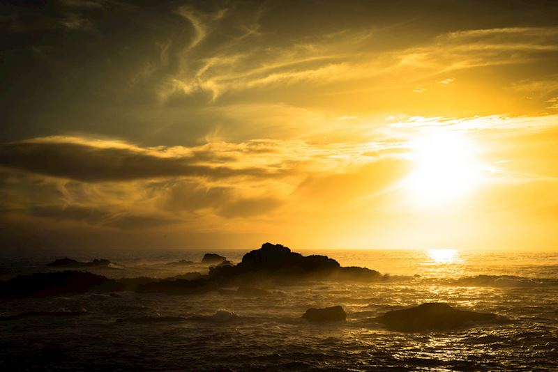 Point Lobos State Reserve, Carmel