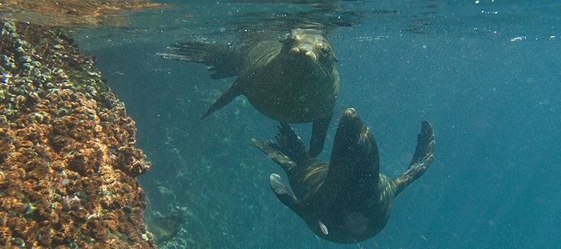 A Journey Through The Galapagos | Audley Travel UK