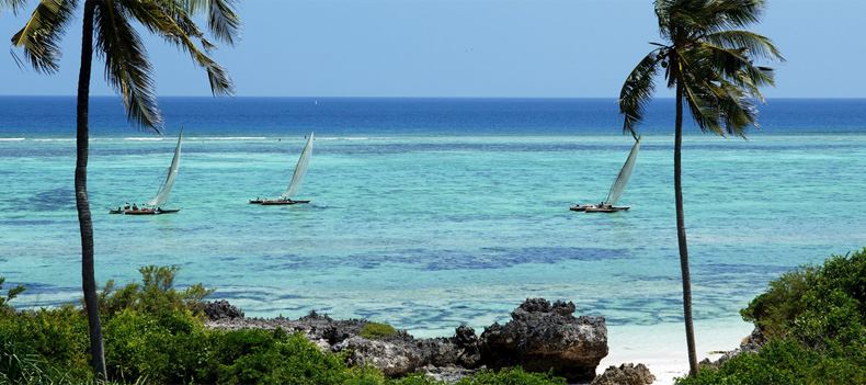 Dhows sailing off the coast of Zanzibar