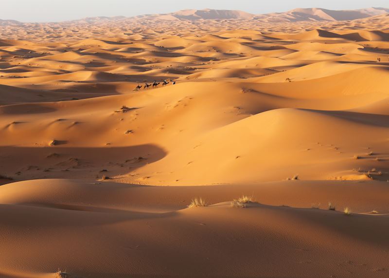 The dunes at Erg Chebbi