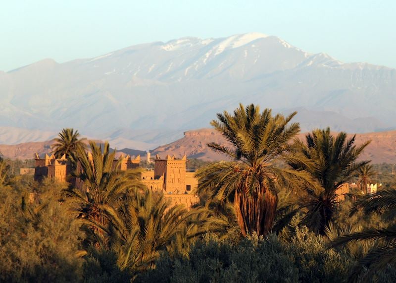 Kasbah Ait Ben Moro, Skoura