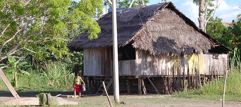 Villages fringing the Amazon