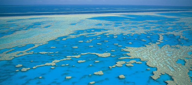 The Great Barrier Reef, home to an underwater kaleidoscope of coral and marine life